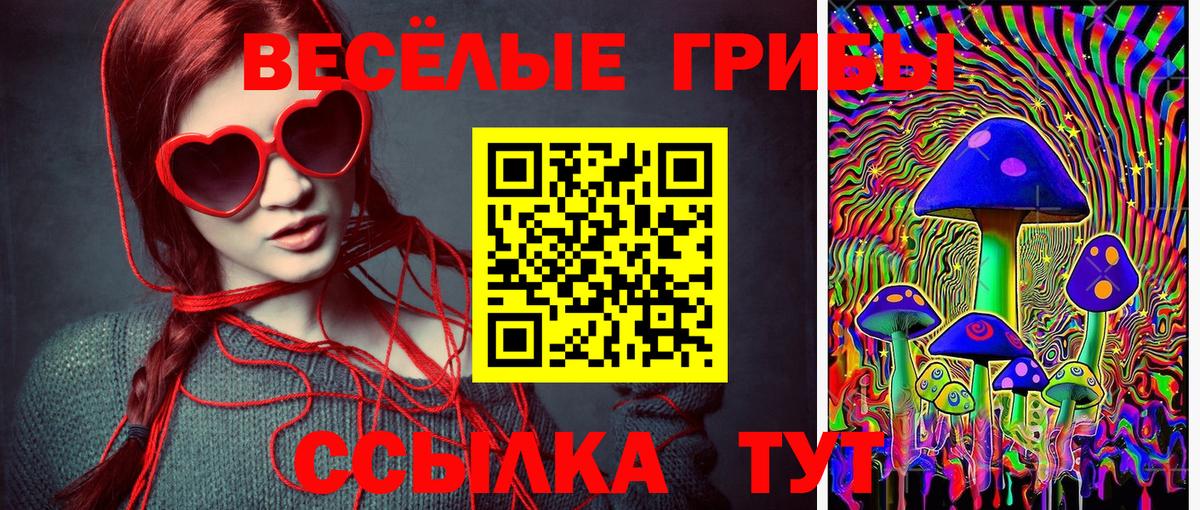 Галлюциногенные грибы Cubensis  Псилоцибиновые грибы мицелий  Вход с VPN  Владивосток 