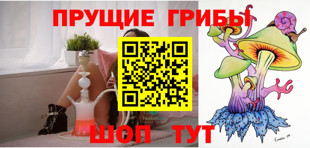 Псилоцибиновые грибы Cubensis Владивосток